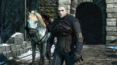2013 Geralt