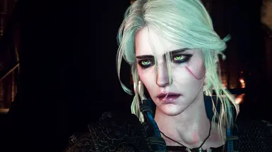 Ciri at The Witcher 3 Nexus - Mods and community