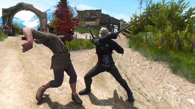 Geralt of Rivia has gone mad