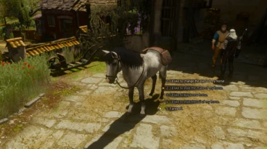 The Stable - Witcher 3 Horse Customization Mod - WIP