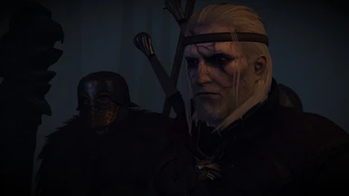 Geralt on laced shrooms