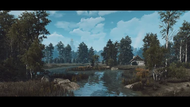 Immersive Witcher 3 Landscapes