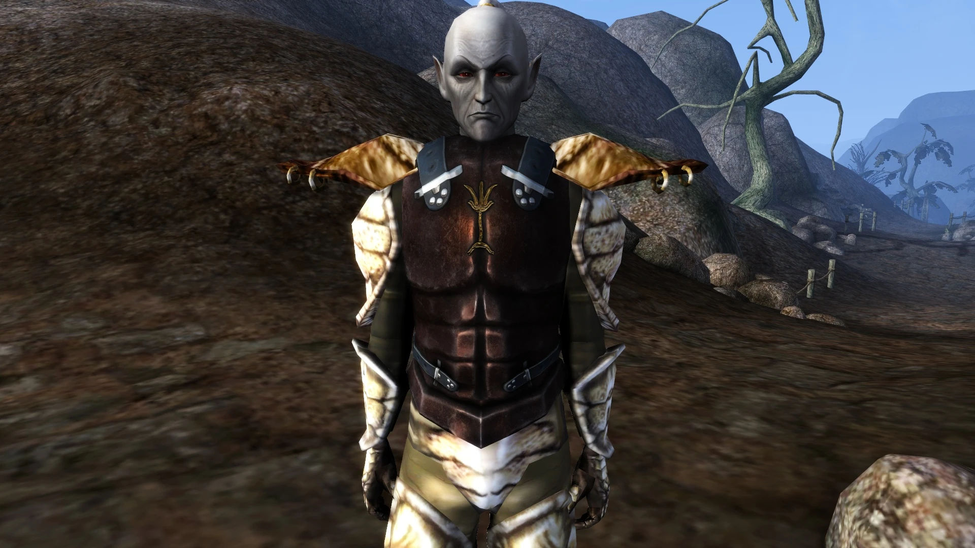 Ebony Mail Replacer at Morrowind Nexus - mods and community.