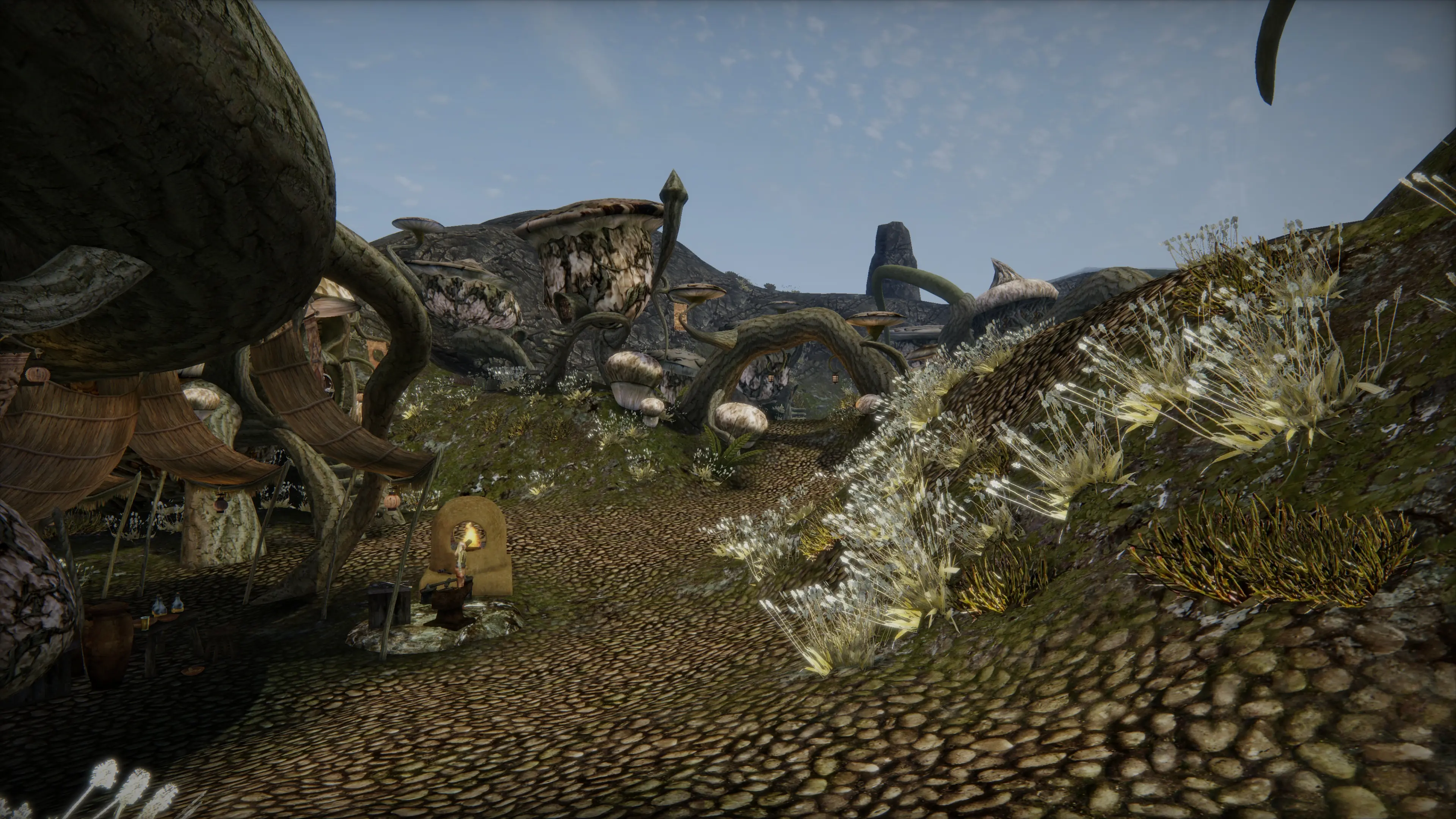 Xe sky variations morrowind что это