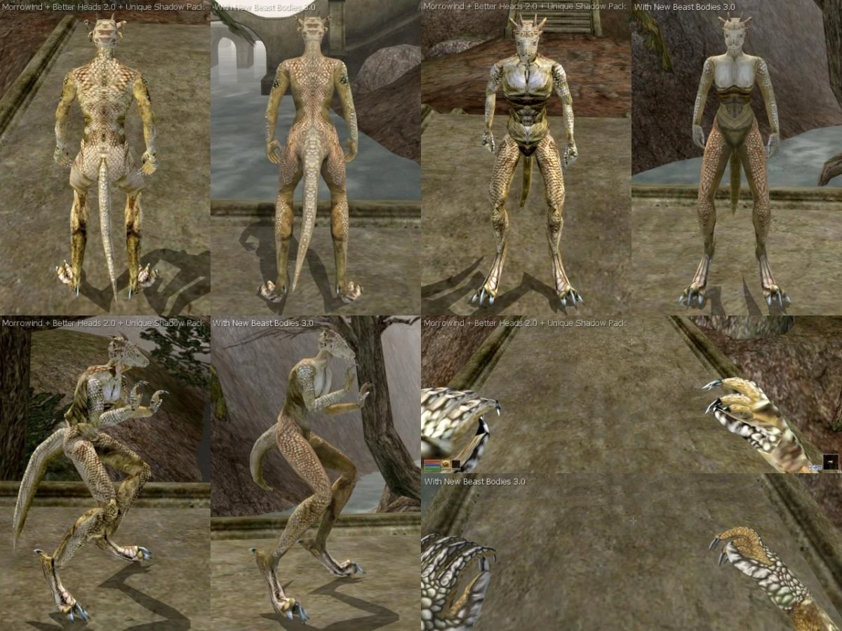 Morrowind better bodies