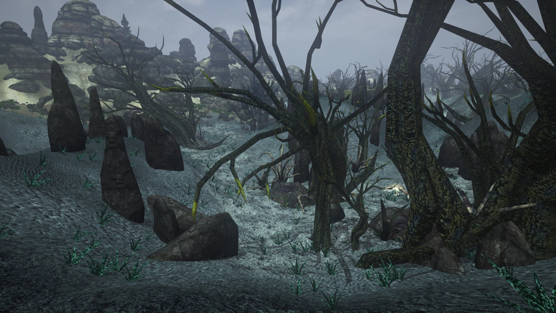 Sams Ashland Trees at Morrowind Nexus - mods and community