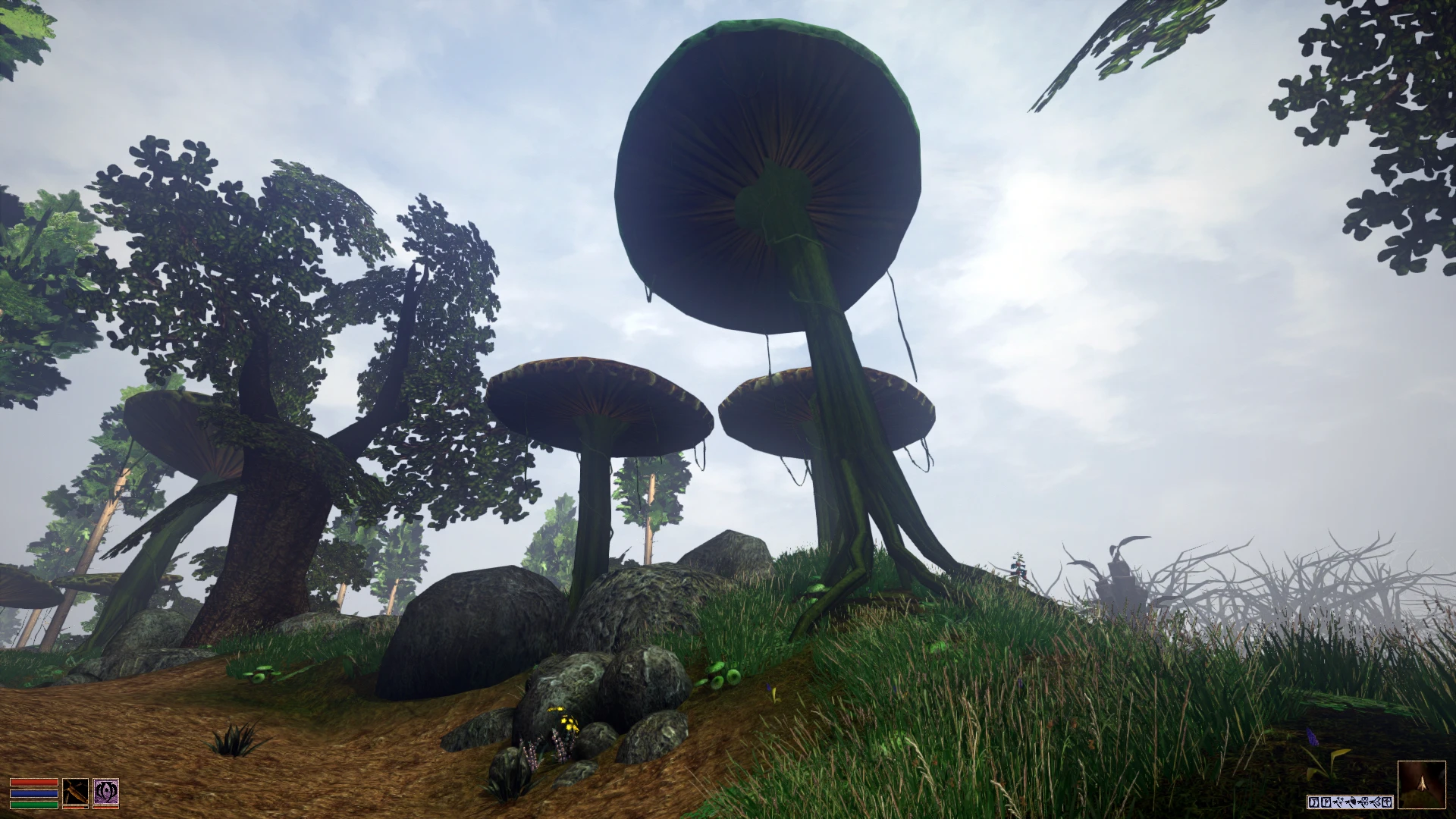 Sams Emperor Parasols at Morrowind Nexus - mods and community