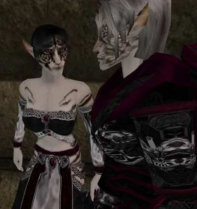 Two Senches Wearing Void Gear