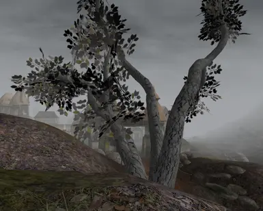 Wise Mystical Tree at Morrowind Nexus - mods and community