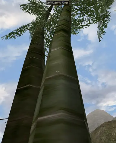 Bamboo