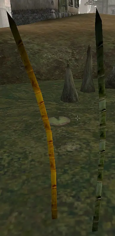 Bamboo