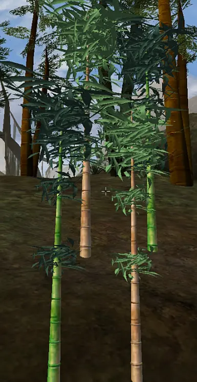 Bamboo
