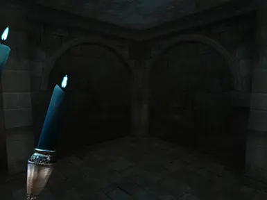 First Person View