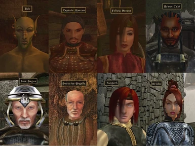 THE Morrowind NPC Makeover