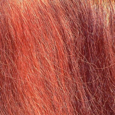 Thick Red Hair Close-Up