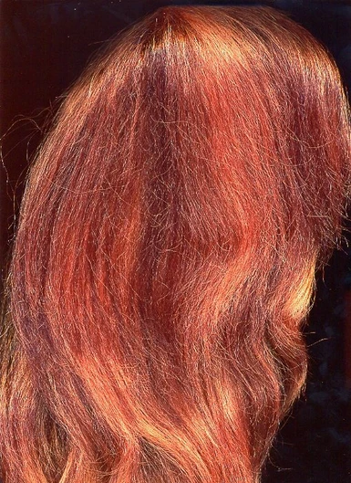 Thick Red Hair Side