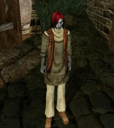 Ashlander 2