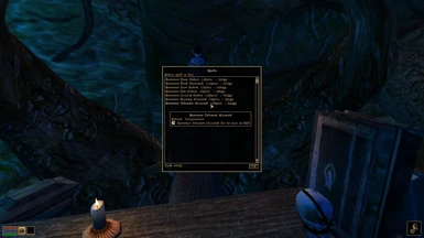 MWSE functionality (functional spells!)