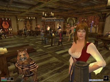 Clothiers of Vvardenfell - Wailing Wench Party 2