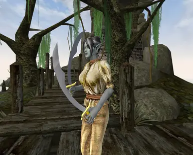 Dual Scimitars