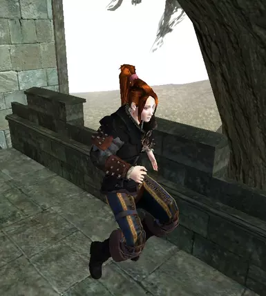 Raven Armor 3
