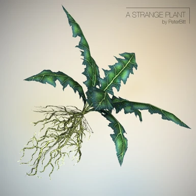 A Strange Plant