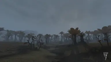 Grasping Fortune (25.05)