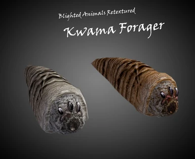 Kwama-Forager
