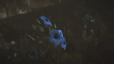 Beautiful Morrowind THANK YOU