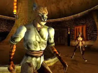 Khajiit