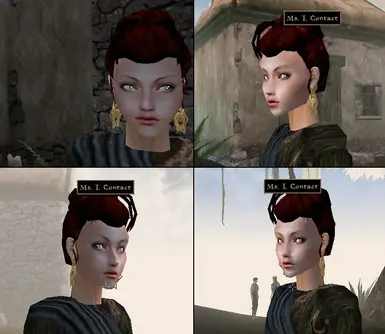 the elder scrolls iii morrowind better heads.esm