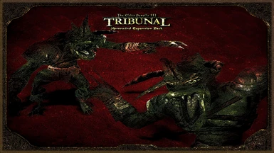 TR concept Tribunal final
