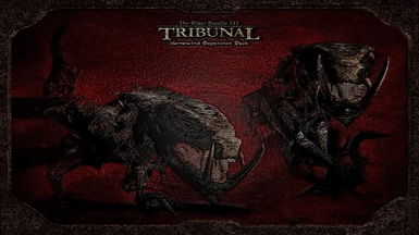 TR concept Tribunal