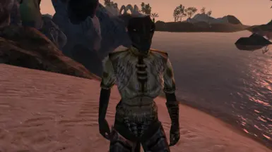 Morrowind 2015 07 25 22 01 05 969