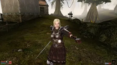 best morrowind graphics mods