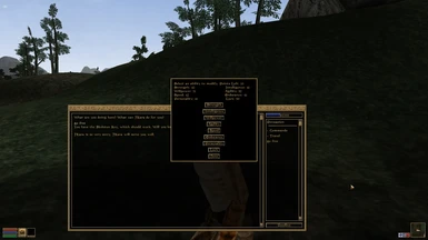 Morrowind Attribute