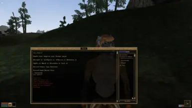 Morrowind Commands