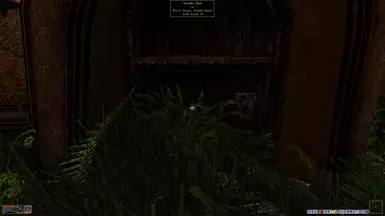 Overgrown Entry