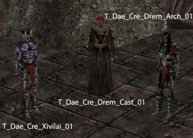 Xivilai, Dremora Caster and Dremora Archer