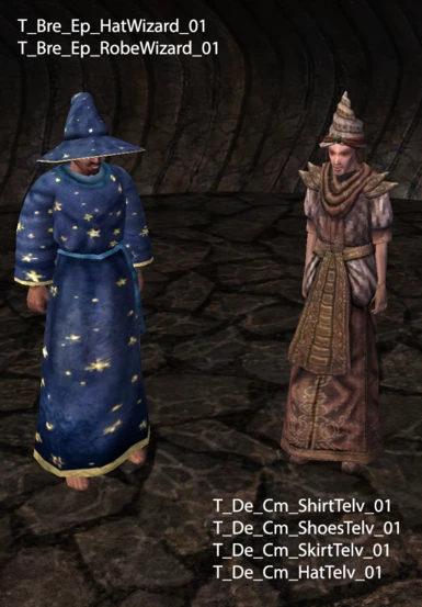 Wizard Robes and Telvanni Clothes