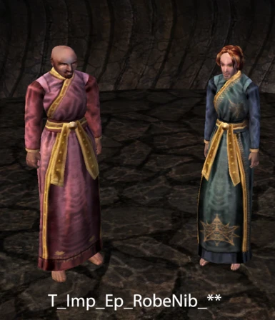 Expensive Nibenese Robes