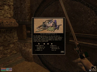 Elder Scrolls Morrowind  PC  19