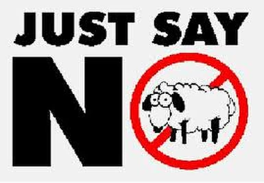 just say no to sheep