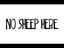 no sheep here