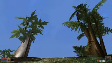 Exotic Trees Showcase