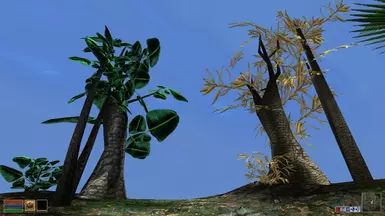 Exotic Trees Showcase