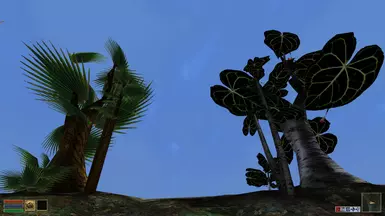 Exotic Trees Showcase