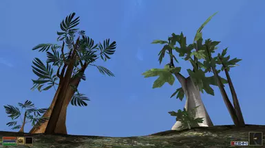 Exotic Trees Showcase