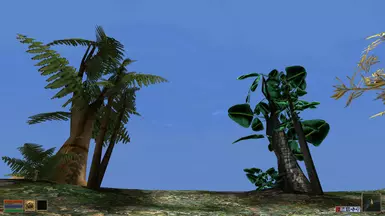 Exotic Trees Showcase