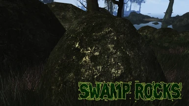 Swamp Rocks